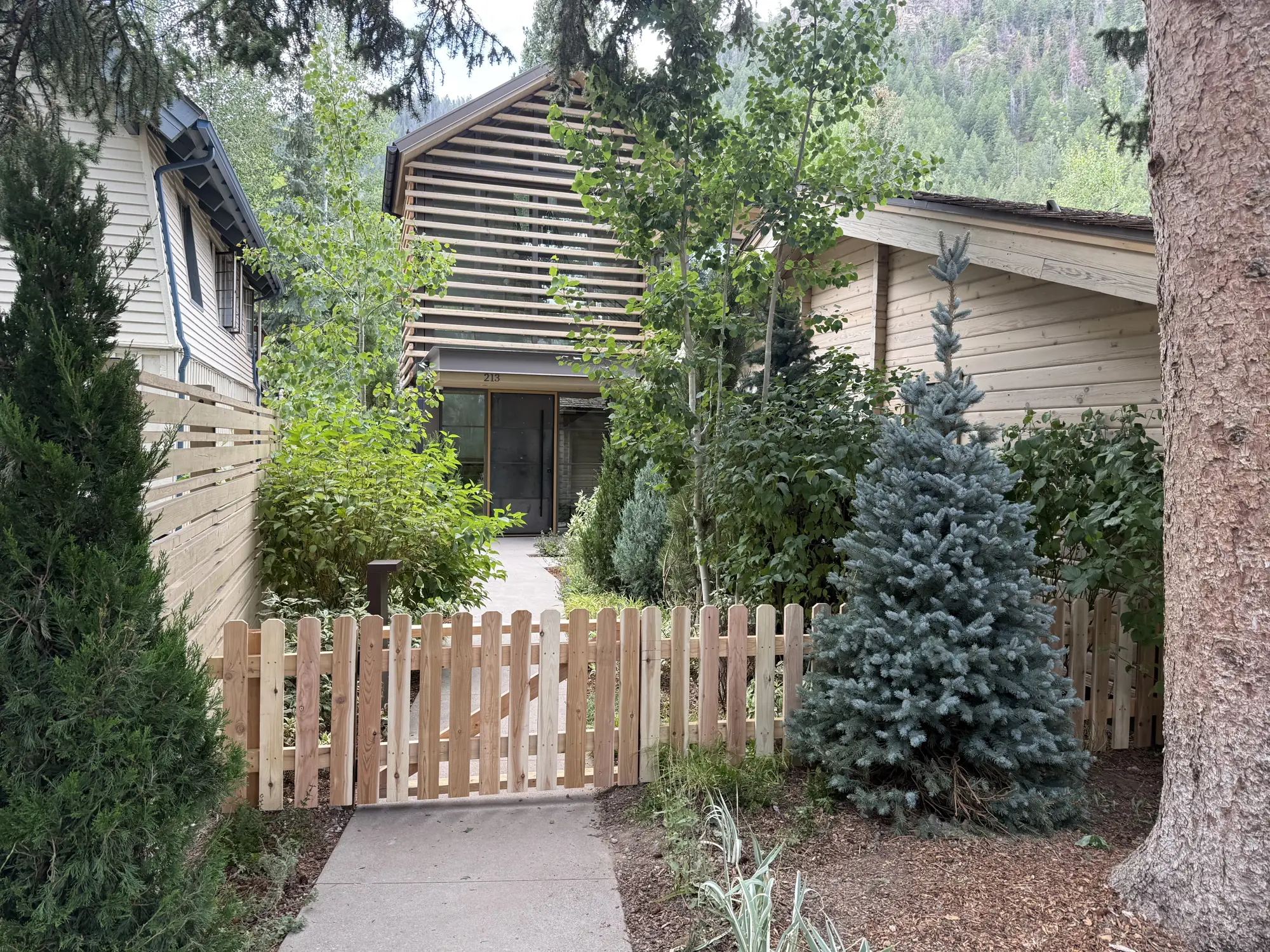Entry walk with new blue spruce, shrubs and perennials, cedar fence and gate