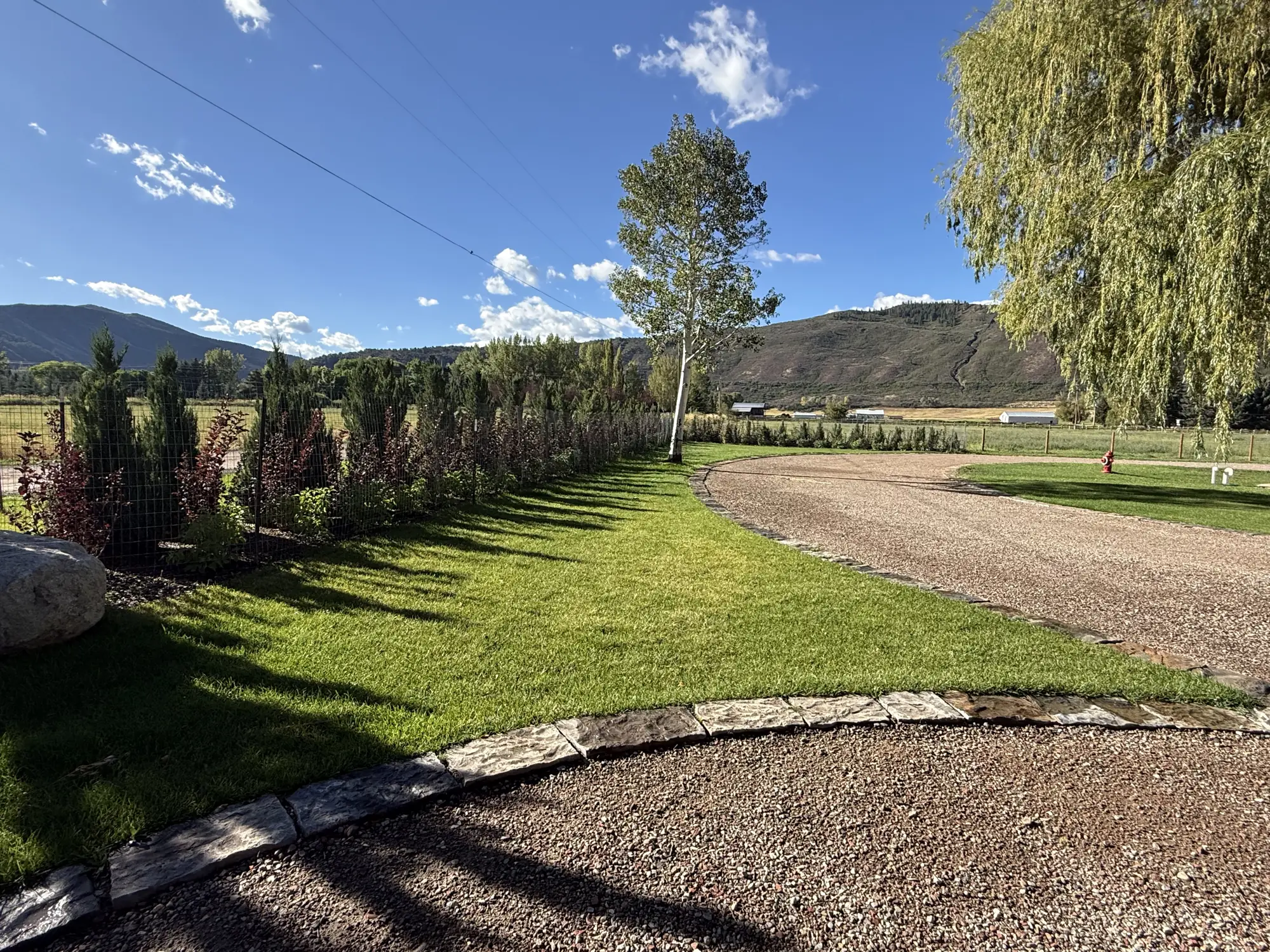 Established lawn, hedge planting and cut stone edging